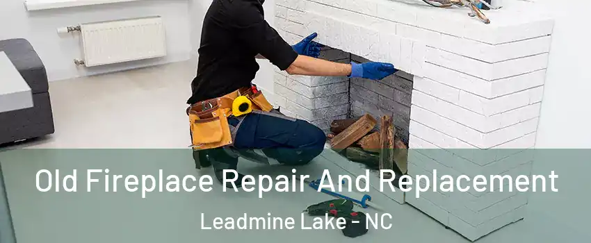 Old Fireplace Repair And Replacement Leadmine Lake - NC
