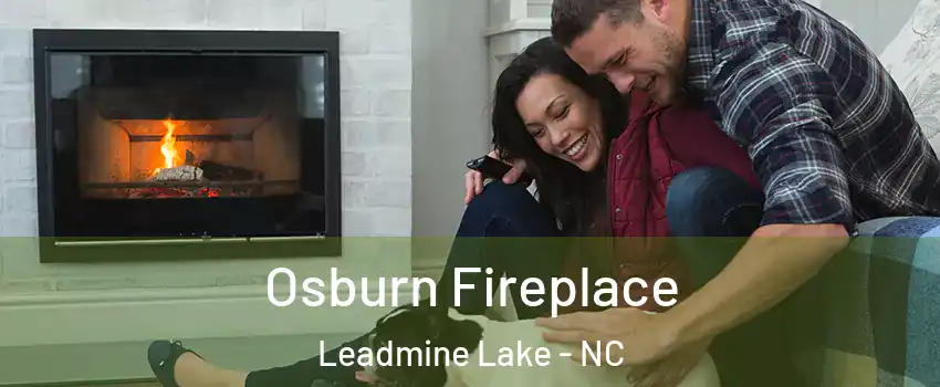 Osburn Fireplace Leadmine Lake - NC