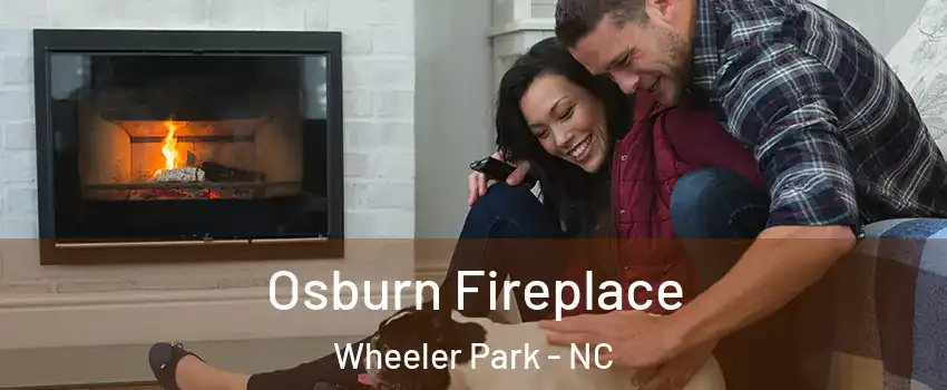 Osburn Fireplace Wheeler Park - NC