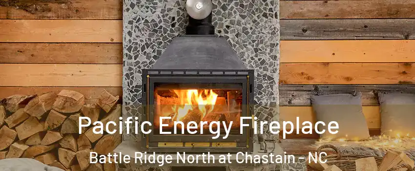 Pacific Energy Fireplace Battle Ridge North at Chastain - NC