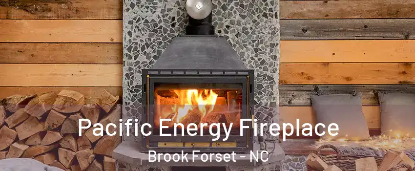 Pacific Energy Fireplace Brook Forset - NC