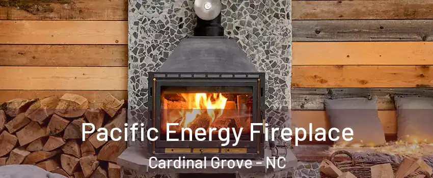 Pacific Energy Fireplace Cardinal Grove - NC