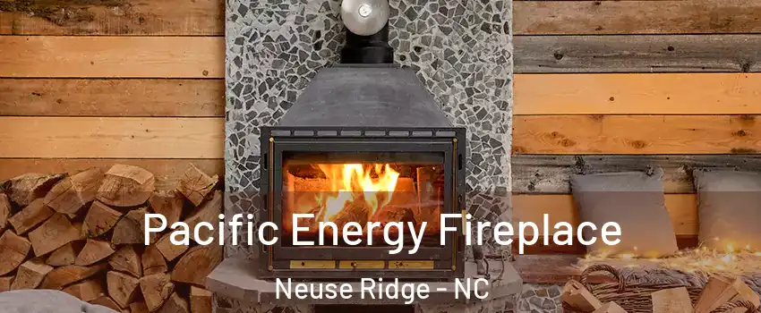 Pacific Energy Fireplace Neuse Ridge - NC