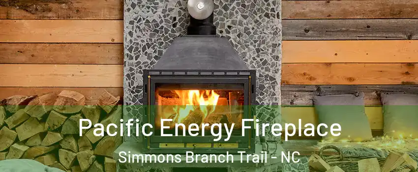 Pacific Energy Fireplace Simmons Branch Trail - NC