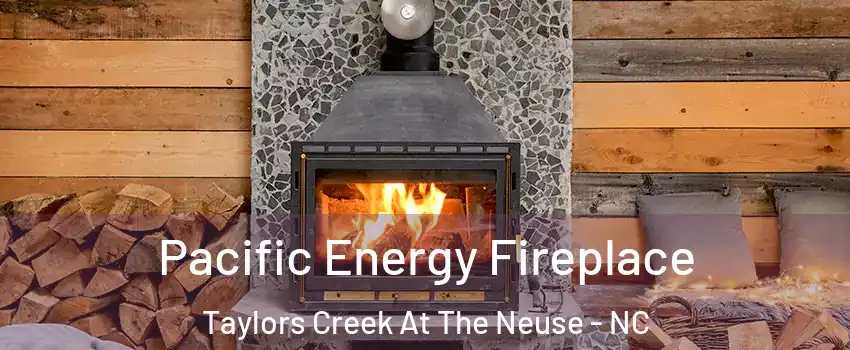 Pacific Energy Fireplace Taylors Creek At The Neuse - NC