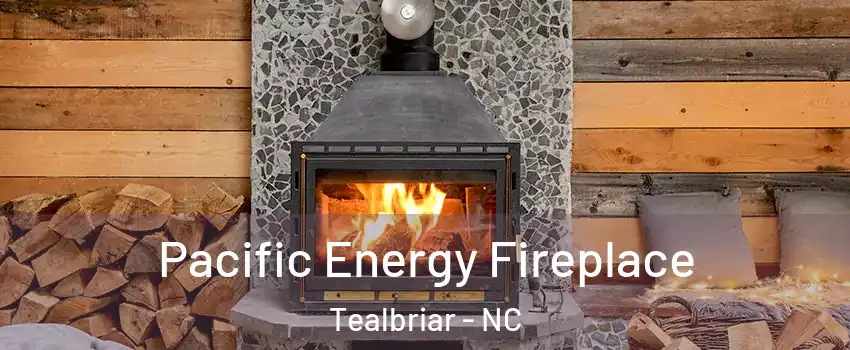 Pacific Energy Fireplace Tealbriar - NC