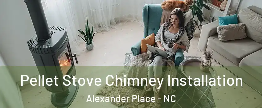 Pellet Stove Chimney Installation Alexander Place - NC