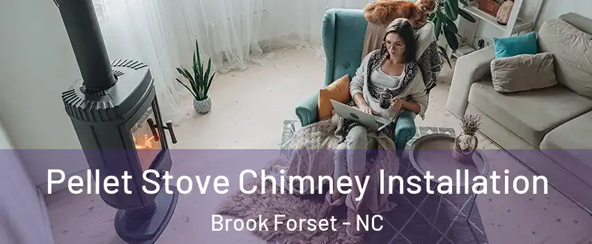 Pellet Stove Chimney Installation Brook Forset - NC