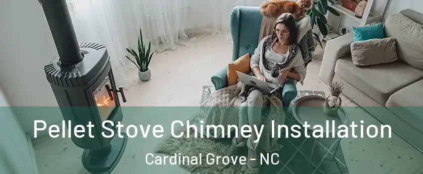 Pellet Stove Chimney Installation Cardinal Grove - NC