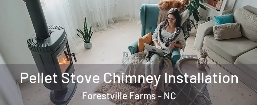 Pellet Stove Chimney Installation Forestville Farms - NC