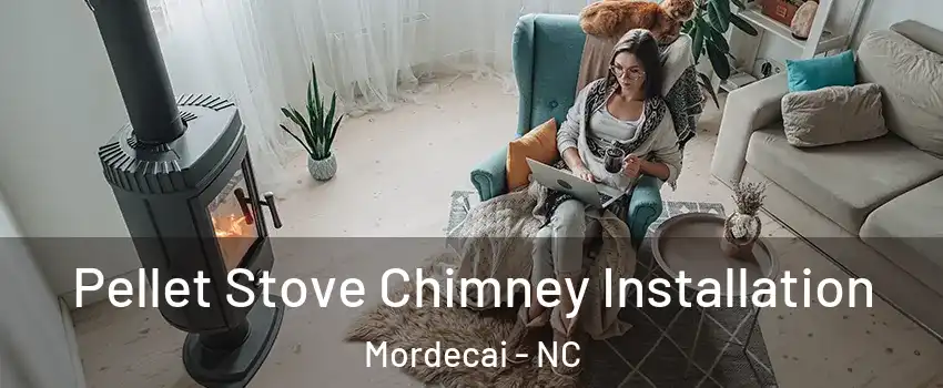 Pellet Stove Chimney Installation Mordecai - NC