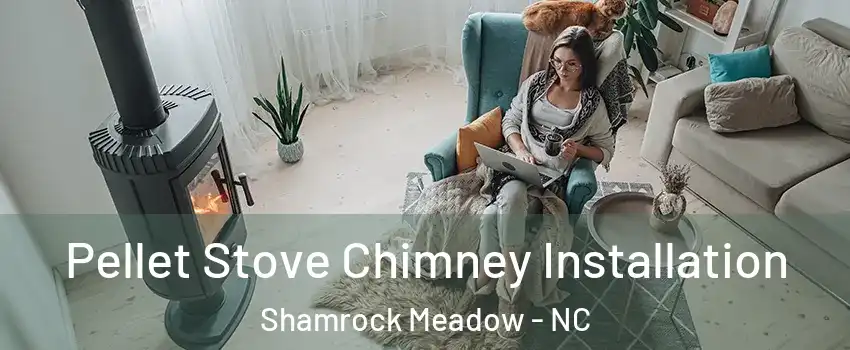 Pellet Stove Chimney Installation Shamrock Meadow - NC