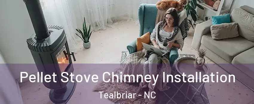 Pellet Stove Chimney Installation Tealbriar - NC
