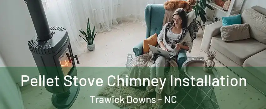 Pellet Stove Chimney Installation Trawick Downs - NC