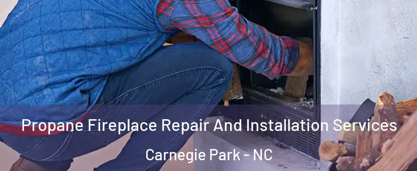 Propane Fireplace Repair And Installation Services Carnegie Park - NC