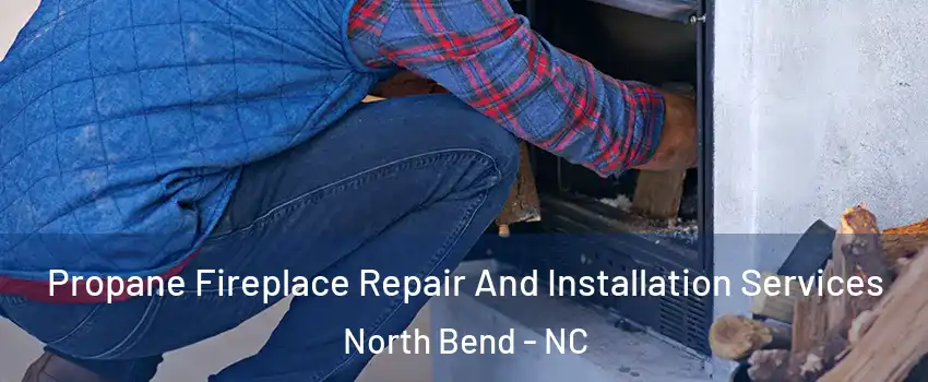 Propane Fireplace Repair And Installation Services North Bend - NC