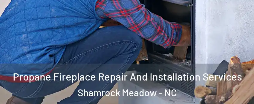 Propane Fireplace Repair And Installation Services Shamrock Meadow - NC