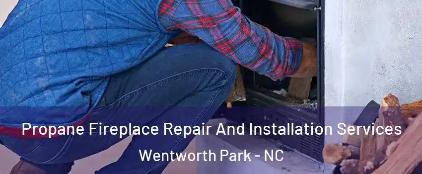 Propane Fireplace Repair And Installation Services Wentworth Park - NC