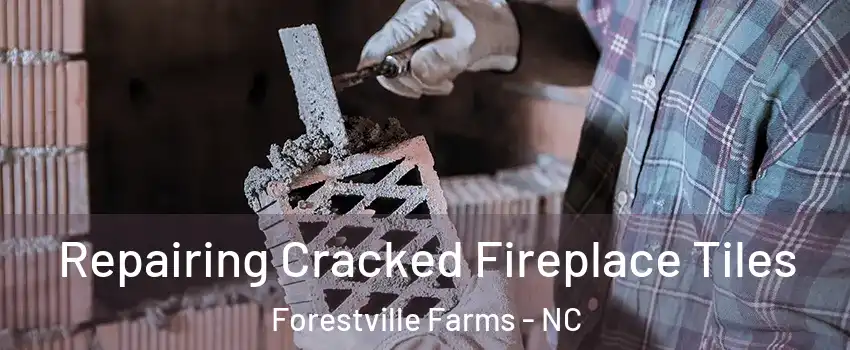 Repairing Cracked Fireplace Tiles Forestville Farms - NC