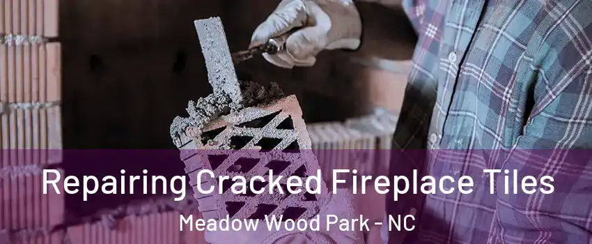 Repairing Cracked Fireplace Tiles Meadow Wood Park - NC
