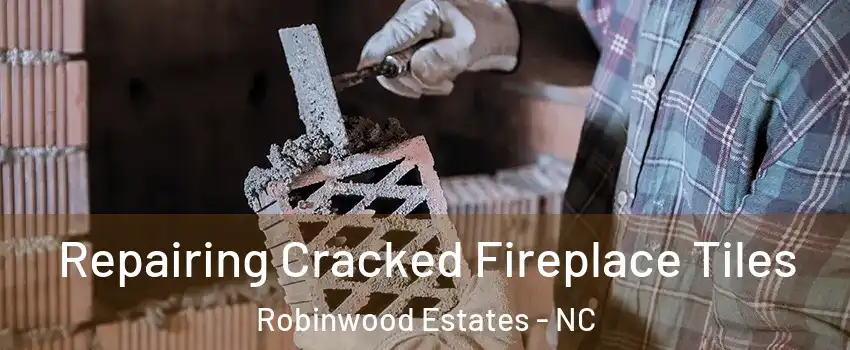Repairing Cracked Fireplace Tiles Robinwood Estates - NC