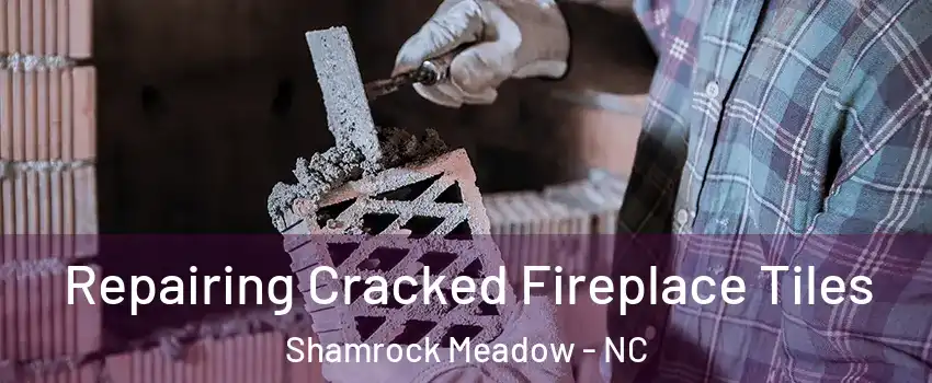 Repairing Cracked Fireplace Tiles Shamrock Meadow - NC