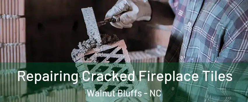 Repairing Cracked Fireplace Tiles Walnut Bluffs - NC
