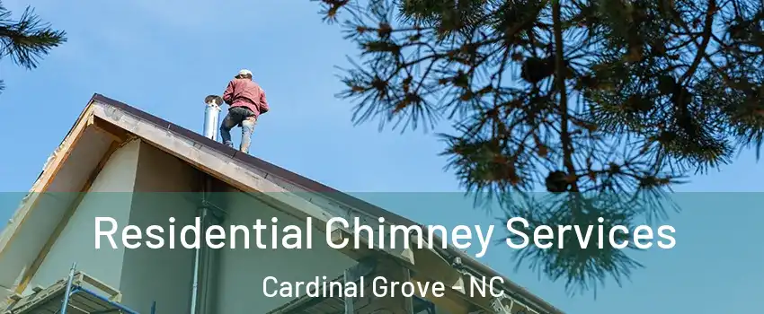 Residential Chimney Services Cardinal Grove - NC