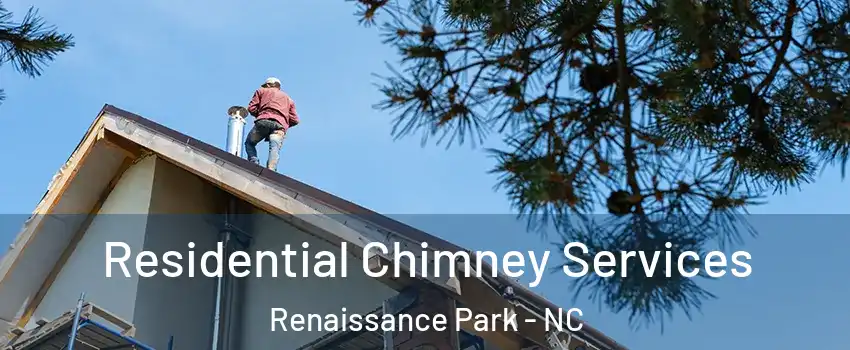 Residential Chimney Services Renaissance Park - NC