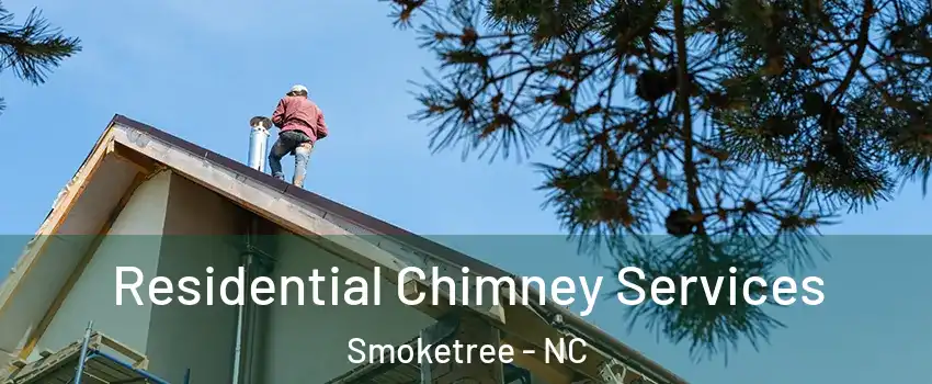 Residential Chimney Services Smoketree - NC