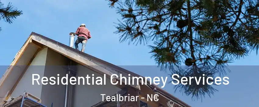 Residential Chimney Services Tealbriar - NC