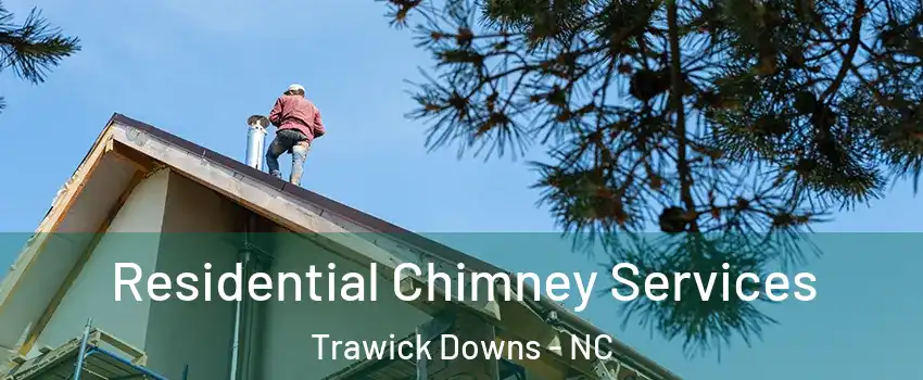 Residential Chimney Services Trawick Downs - NC
