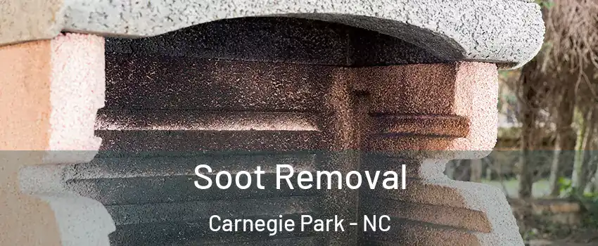 Soot Removal Carnegie Park - NC