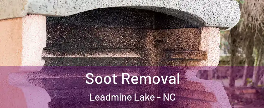 Soot Removal Leadmine Lake - NC