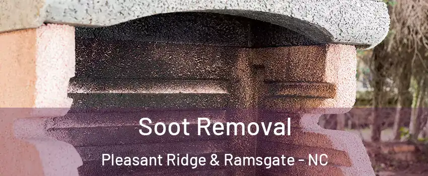 Soot Removal Pleasant Ridge & Ramsgate - NC