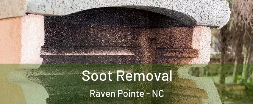Soot Removal Raven Pointe - NC