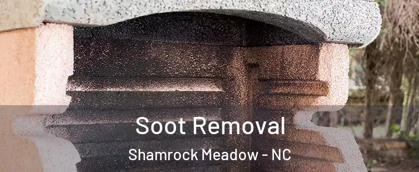 Soot Removal Shamrock Meadow - NC