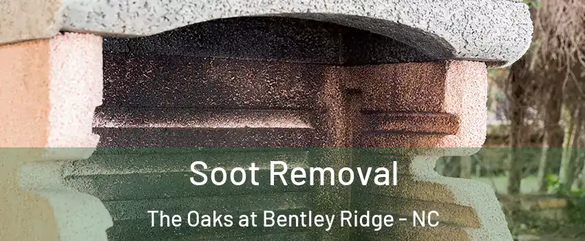 Soot Removal The Oaks at Bentley Ridge - NC