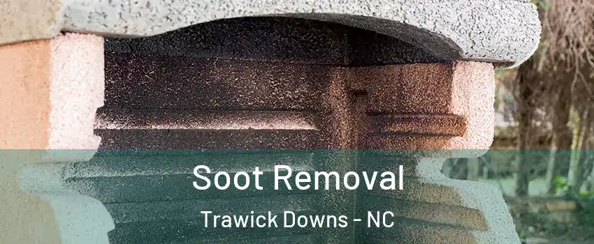 Soot Removal Trawick Downs - NC