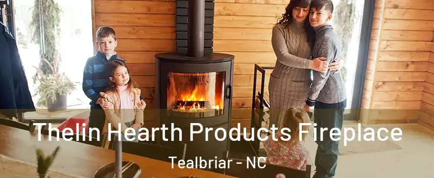 Thelin Hearth Products Fireplace Tealbriar - NC