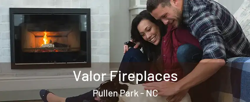 Valor Fireplaces Pullen Park - NC