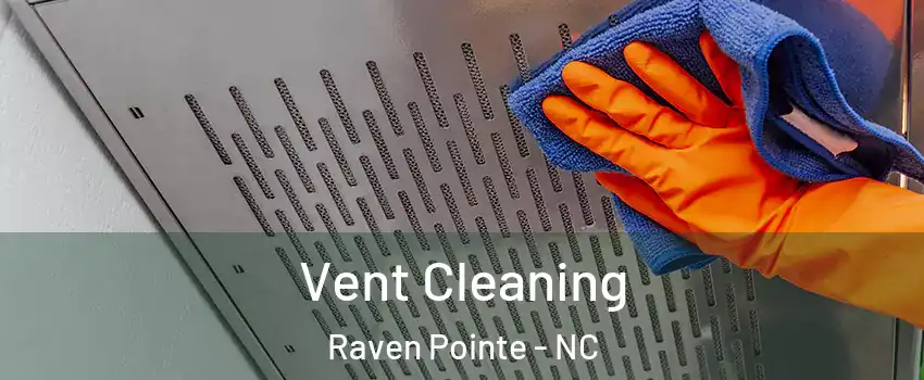 Vent Cleaning Raven Pointe - NC