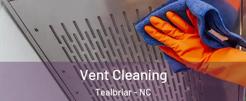 Vent Cleaning Tealbriar - NC