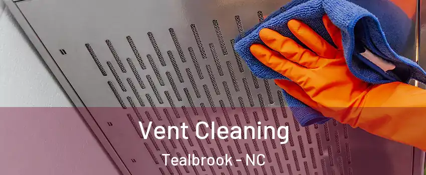 Vent Cleaning Tealbrook - NC