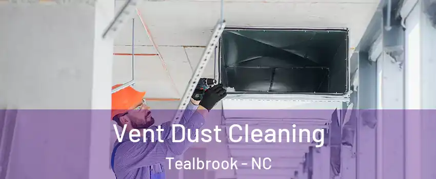 Vent Dust Cleaning Tealbrook - NC