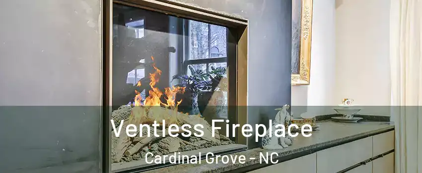 Ventless Fireplace Cardinal Grove - NC