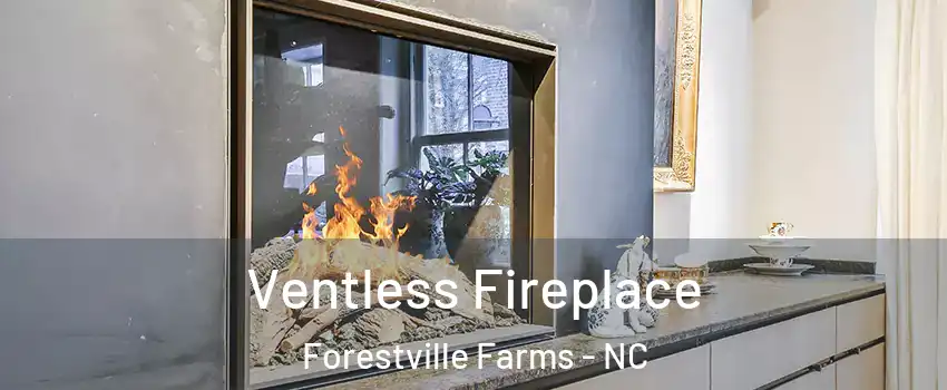 Ventless Fireplace Forestville Farms - NC