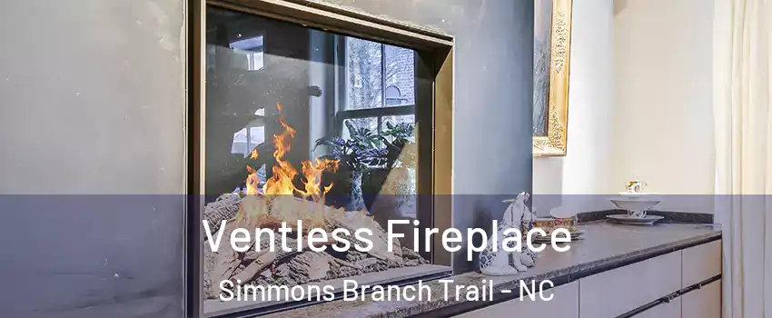 Ventless Fireplace Simmons Branch Trail - NC