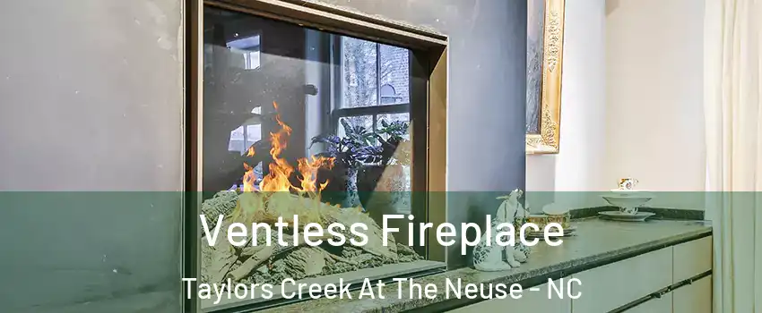 Ventless Fireplace Taylors Creek At The Neuse - NC