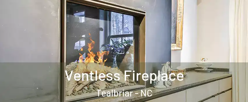 Ventless Fireplace Tealbriar - NC